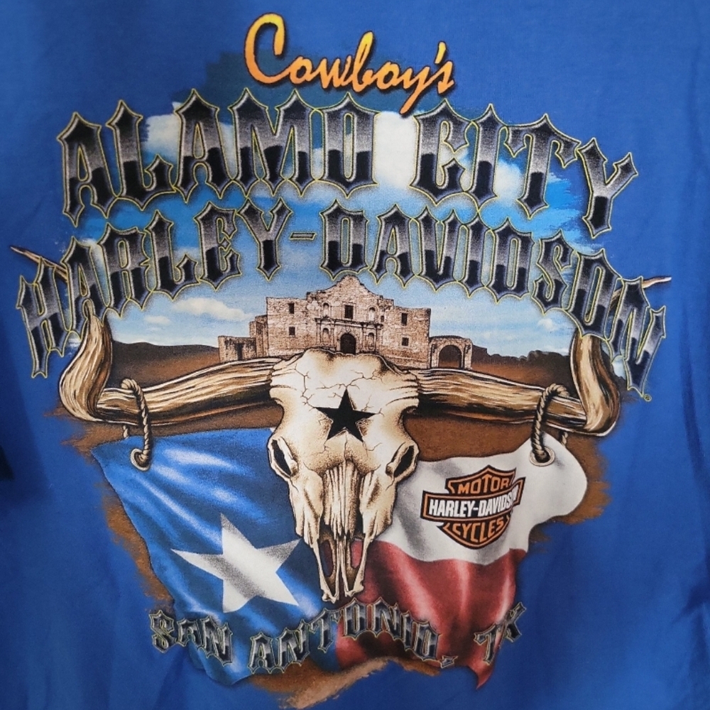 Harley-Davidson Men's L T-Shirt